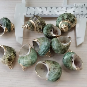 Makroaufnahme grüner Spiralmuscheln mit vergoldetem Rand für DIY-Schmuckherstellung