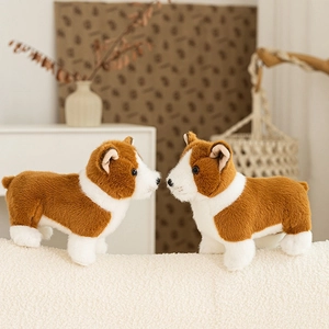 Close-up of two cute plush Corgi dogs with soft brown and white fur in a cozy home setting