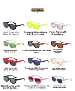 Detailed grid view showcasing 12 different color variants of retro rectangular sunglasses