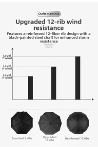 Detailed comparison of 8, 10, and 12-rib automatic folding umbrellas showing wind resistance levels