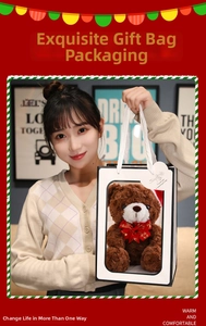 Brown teddy bear with a red bow inside a white gift bag with transparent window