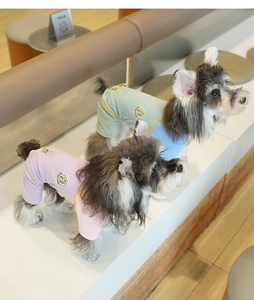 Detail of color-block knit pet jumpsuit with cartoon embroidery and leash ring