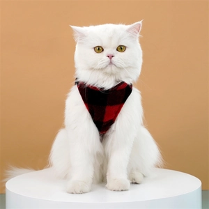 Detail of red and black buffalo plaid pet bandana on a white cat in minimalist studio setting