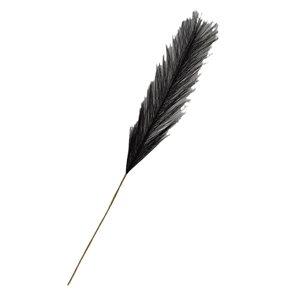 Single 55cm black artificial pampas grass stalk on white background for boho home decor