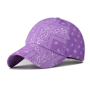 Detail view of purple paisley baseball cap with white pattern and curved brim