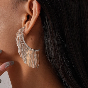 Detail of silver beaded tassel earring with metallic fringe on a model's ear