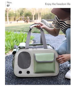 Detail of pet carrier bag featuring breathable mesh window and green canvas storage pocket
