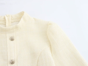Detail van beige tweed jurk met opstaande kraag, ritssluiting en metalen knopen