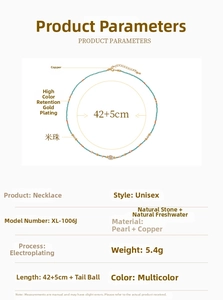 Detailed size chart showing 42+5cm length of colorful natural stone and pearl necklace