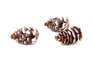 Three realistic white-tipped artificial pine cones for festive Christmas decoration