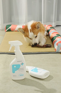 500ml pet odor eliminator spray used in a cozy home setting with a dog resting on a mat