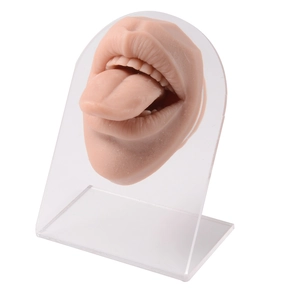 Professional silicone mouth and tongue model on acrylic stand for piercing display