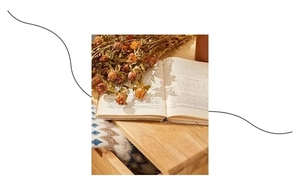 Dried rose bouquet on vintage wood with open book for home decor and props