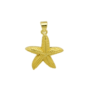 Macro shot of gold-plated starfish pendant showing textured metal details on white background