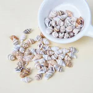 Mini Natürliche Muschel Schnecke Mikro Landschaft Miniatur Essen Spiel Dekoration Für DIY Handwerk Aquarium