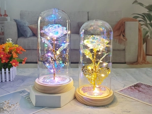 Dual glass domes featuring colorful gold foil roses and butterfly decor with LED lighting
