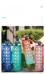 Detailed view of matte water bottles with gradient colors and daily time markers for tracking