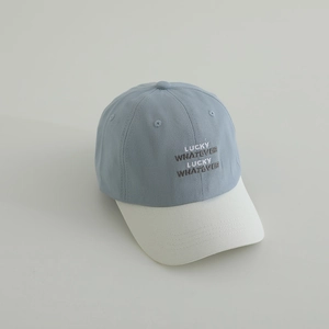 Detail of LUCKY WHATEVER embroidery on blue and beige cotton twill baseball cap