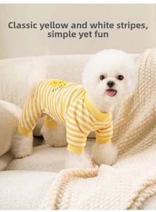 Close-up of yellow and white striped pet pajamas with smiley face on a Bichon Frise