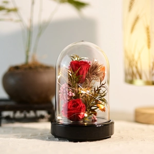 Preserved Flower Rose In Glass Dome With LED String Lights Wood Base Romantic Night Light For Anniversary Gift