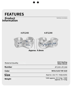 Detail specifications of S925 sterling silver ring with blue zircon and brushed texture