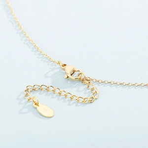 Golden stainless steel necklace detail showing lobster clasp and S.Steel hallmark tag