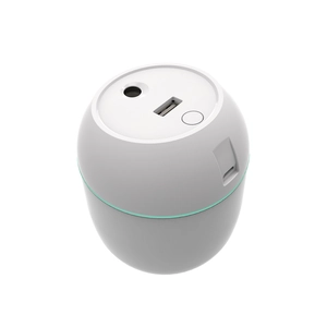 Mini humidificador USB portátil blanco en forma de huevo con línea decorativa verde