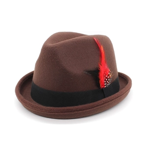 Detailed side view of a brown felt fedora hat featuring a black ribbon and feather accessory