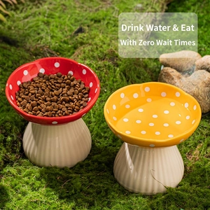 Mushroom ceramic raised cat bowl for food and water in natural forest forest setting