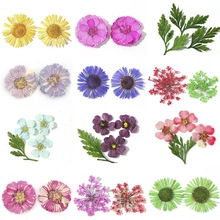 Close-up of vibrant dried flowers and green leaves set for DIY crystal resin crafts