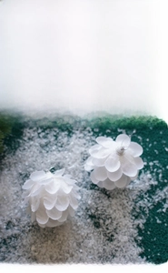 Close-up of white petal pinecone Christmas ornaments with glitter on green fur