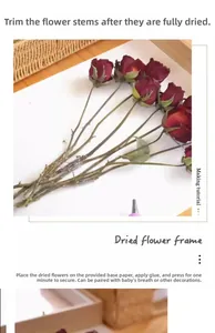 Detailed view of DIY dried rose flower frame kit with glue and instructions for assembly