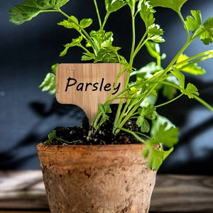Macro shot of a rectangular bamboo plant label with Parsley text in a terracotta pot