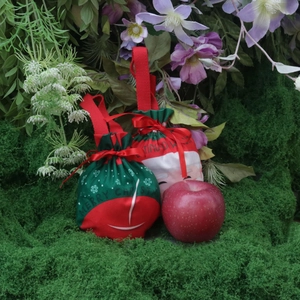 Christmas drawstring gift bags with Santa patterns and red ribbons on green moss background