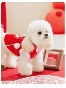 Close-up of festive red dog vest with white plush trim and golden Chinese patterns
