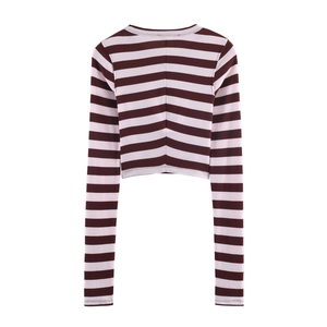 Brown and pink striped long sleeve knit crop top featuring a classic round neck and slim fit