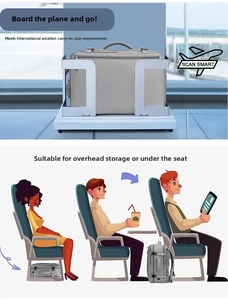 Gray travel backpack fitting airline carry-on size for overhead bins or underseat storage