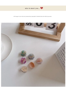Detailed view of six colorful shell-shaped hair clips with elegant gold line accents