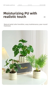 Detail of realistic monstera leaf texture in a white ceramic pot with wavy texture
