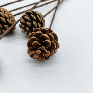 Natürlicher Kiefernzapfen am Stiel für Weihnachtsbaumschmuck und rustikale Blumendeko