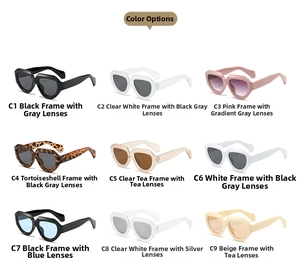 Detailed catalog showing nine varied color combinations for stylish thick-framed sunglasses