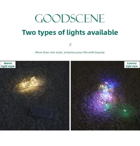 Dual view of warm white and colorful LED copper fairy lights with battery box