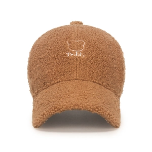 Brown lamb wool baseball cap with Teddy embroidery for warmth in winter street fashion
