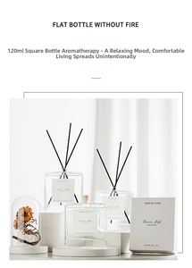 Minimalist reed diffuser set with 120ml clear glass bottle and black fiber sticks