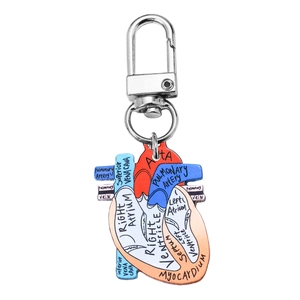 Colorful anatomical heart keychain with detailed medical labels on a white background