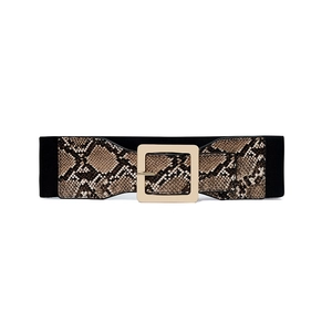 Detail of green snake pattern wide elastic belt with a golden square metal buckle
