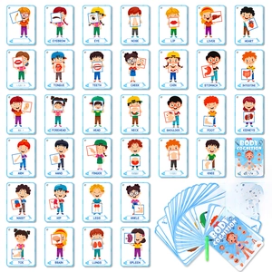 Paper Body Cognition Flashcard For Kids Human Anatomy Educational Learning Cards For Toddlers Early Development Montessori Toy