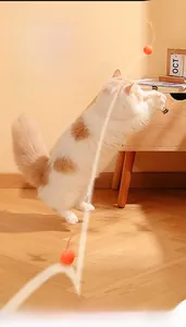Action shot showing the high elasticity and bounce of the orange silicone cat ball toy