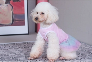 Pink pet dress with rainbow mesh tutu layers worn by a white poodle dog indoors