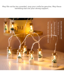 Detail of LED wishing bottle string light with mini Christmas tree and fake snow